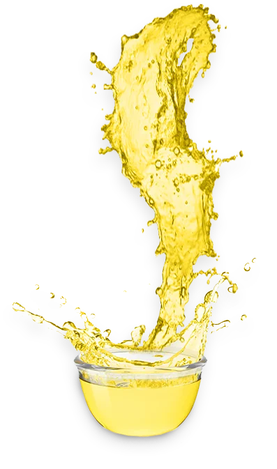 Wholesale Fats and Oils for Food Manufacturing