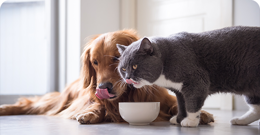 Feed grade sweeteners and palatability enhancers for pet food
